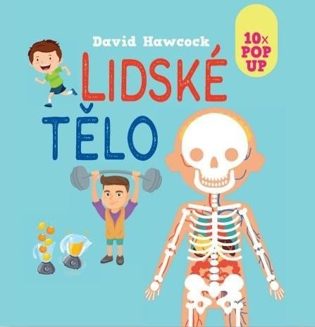 Hawcock David: Lidské tělo 10 pop-up obrázků Hawcock David: Lidské tělo 10 pop-up obrázků