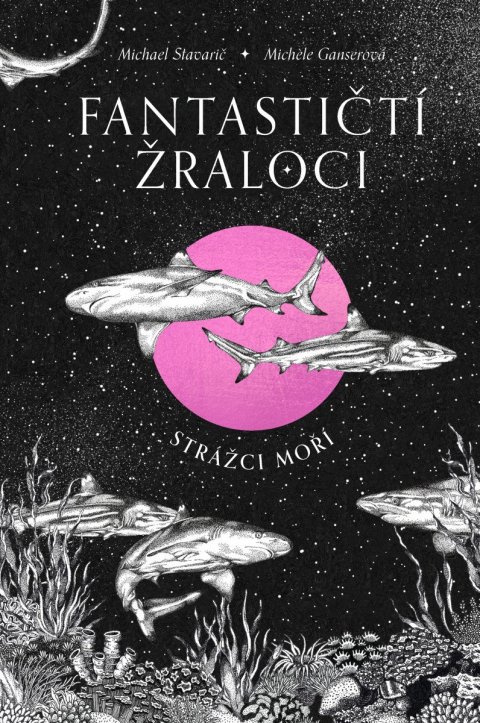 Stavarič Michael: Fantastičtí žraloci - Strážci moří