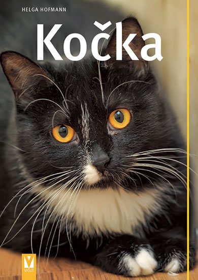 Hofmann Helga: Kočka Hofmann Helga: Kočka