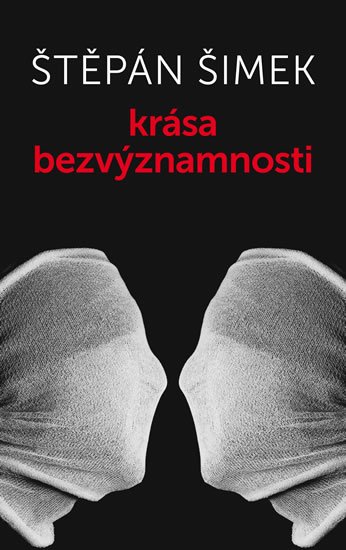 Šimek Štěpán: Krása bezvýznamnosti