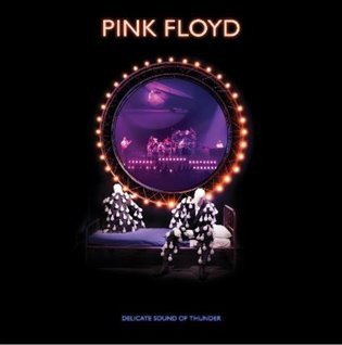 Pink Floyd: Pink Floyd: Delicate Sound Of Thunder - DVD