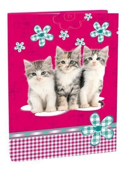 neuveden: Box na sešity A4 - Cats