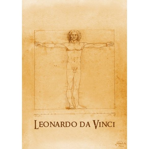 neuveden: Pohlednice 3D Da Vinci Man