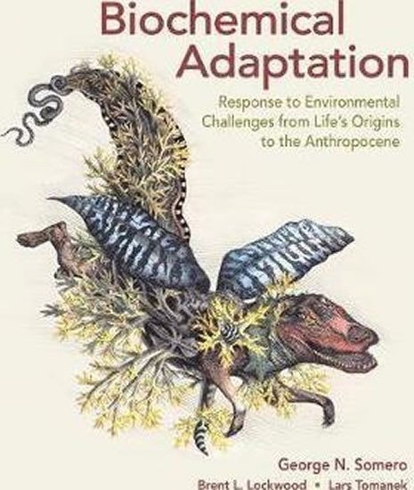 Somer Bradley: Biochemical Adaptation