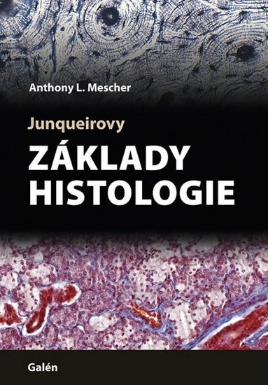 Mescher Anthony L.: Junqueirovy základy histologie