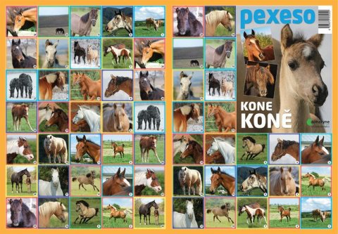 neuveden: Pexeso - Koně neuveden: Pexeso - Koně