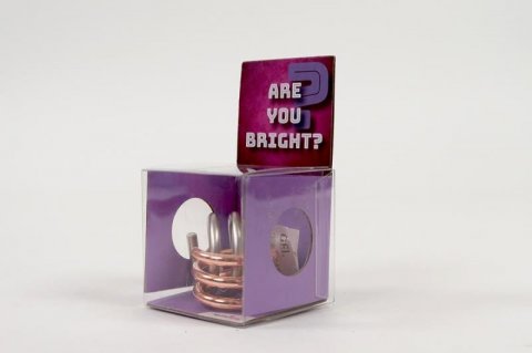 neuveden: Recenttoys Hlavolam - Are you Bright