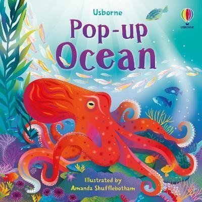 Cope Lizzie: Pop-up Ocean