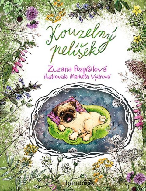 Pospíšilová Zuzana: Kouzelný pelíšek