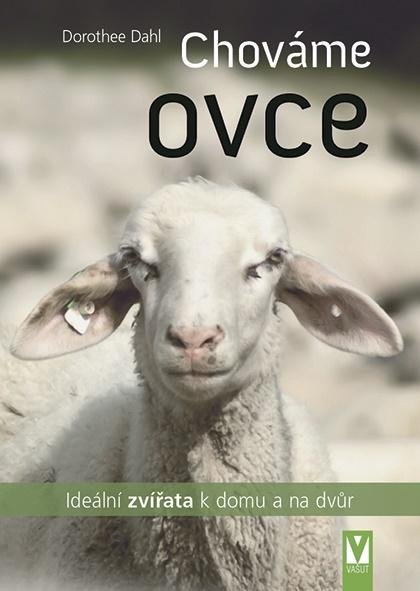 Dahl Dorothee: Chováme ovce - Ideální zvířata k domu a na dvůr