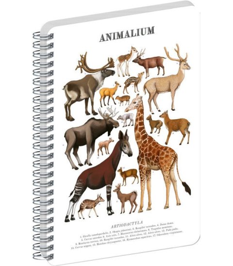: Spirálový blok Animalium - Sudokopytníci, čistý, A5
