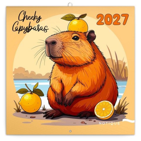 : Kalendář 2027 poznámkový: Rozverné kapybary, 30 x 30 cm