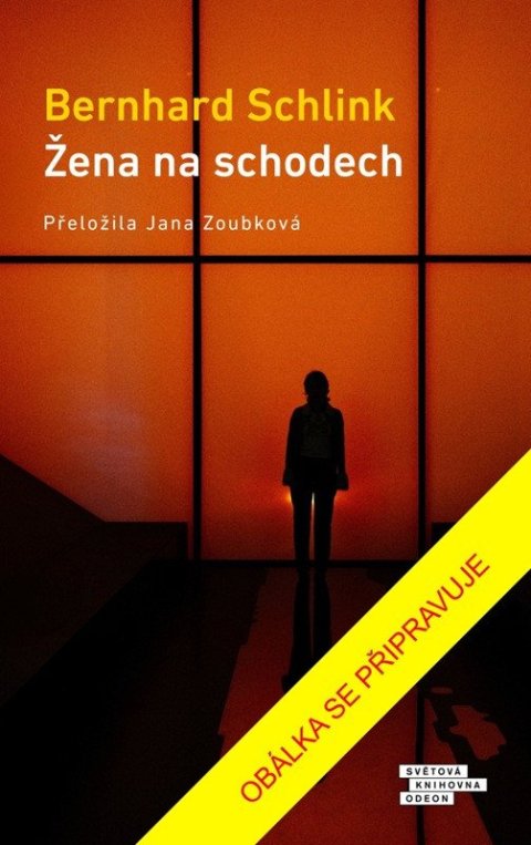 Schlink Bernhard: Žena na schodech