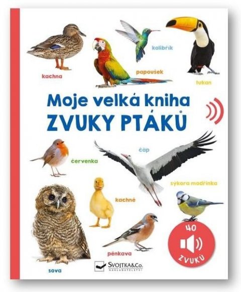 neuveden: Moje velká kniha Zvuky ptáků