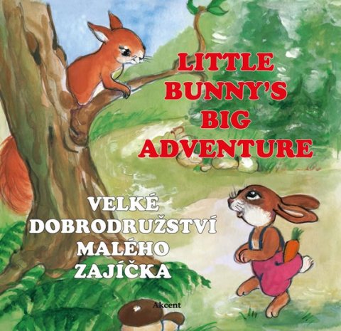 Šnajderová Ludmila: Velké dobrodružství malého zajíčka / Little Bunny´s Big Adventure