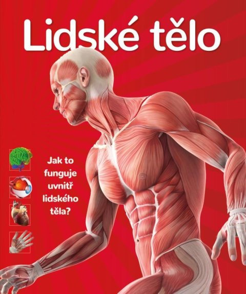 neuveden: Lidské tělo - Jak to funguje uvnitř lidského těla?