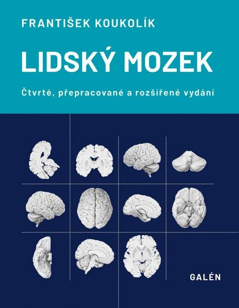 Koukolík František: Lidský mozek