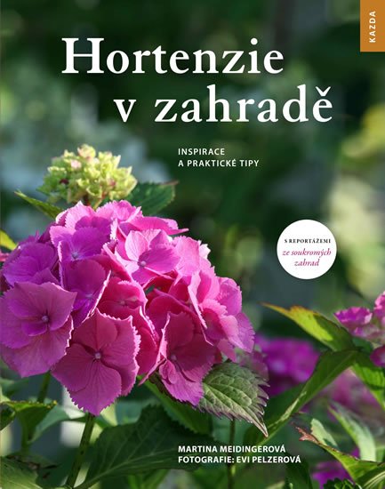 Meidingerová Martina: Hortenzie v zahradě - Inspirace a praktické tipy