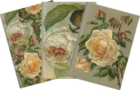 -: Sada tří notýsků Yellow roses