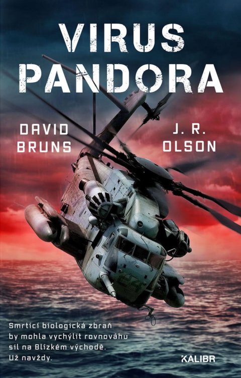 Bruns David: Virus Pandora Bruns David: Virus Pandora