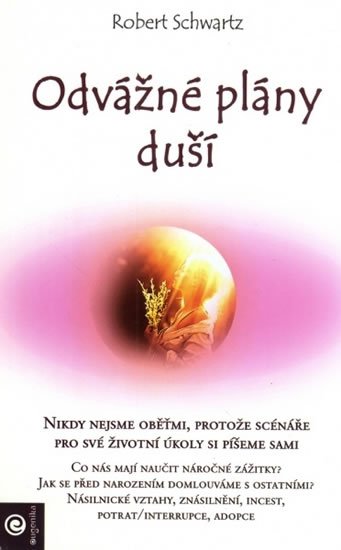 Schwartz Robert: Odvážné plány duší