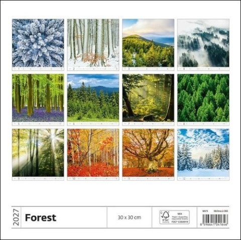 : Kalendář nástěnný 2027 - Forest/Wald/Les