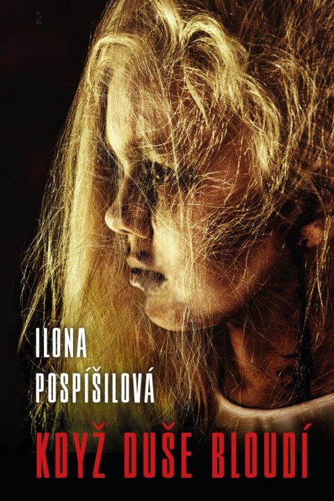 Pospíšilová Ilona: Když duše bloudí Pospíšilová Ilona: Když duše bloudí