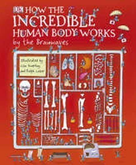 neuveden: How Incredible Human Body Work