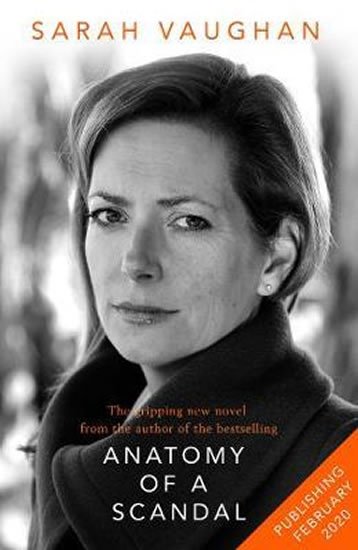 Vaughanová Sarah: Little Disasters : from the bestselling author of Anatomy of a Scandal