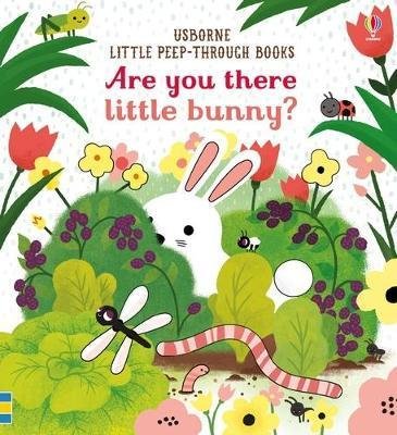 Taplin Sam: Are You There Little Bunny?