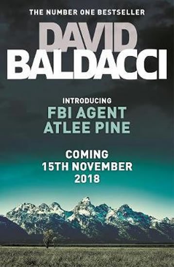 Baldacci David: Long Road to Mercy