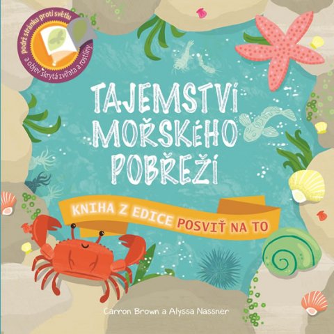 neuveden: Tajemství mořského pobřeží - Posviť na to neuveden: Tajemství mořského pobřeží - Posviť na to