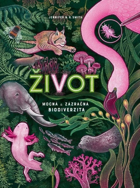 Smith Jennifer N. R.: Život - Mocná a zázračná biodiverzita