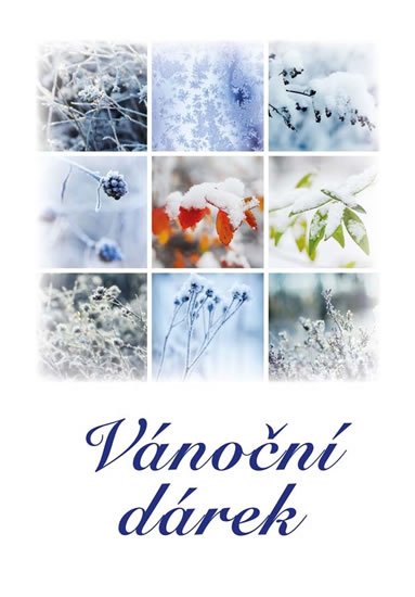 neuveden: Vánoční dárek - Soubor povídek neuveden: Vánoční dárek - Soubor povídek