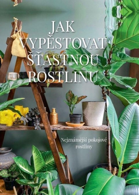 Augustynová Malgorzata: Jak vypěstovat šťastnou rostlinu - Nejznámější pokojové rostliny