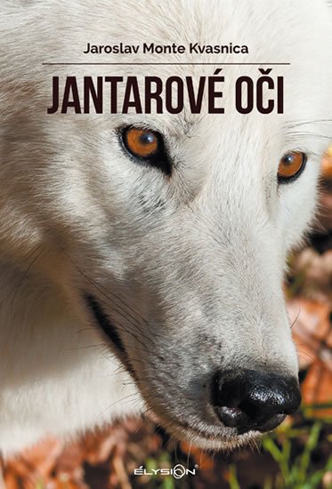 Kvasnica Jaroslav Monte: Jantarové oči