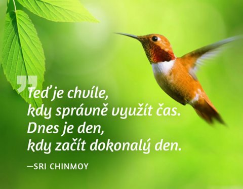 Chinmoy Sri: Magnet na lednici - Teď je chvíle, kdy správně využít čas. Dnes je den, kdy