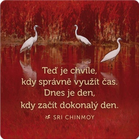 Chinmoy Sri: Korkový podtácek s citátem Chinmoy Sri: Korkový podtácek s citátem