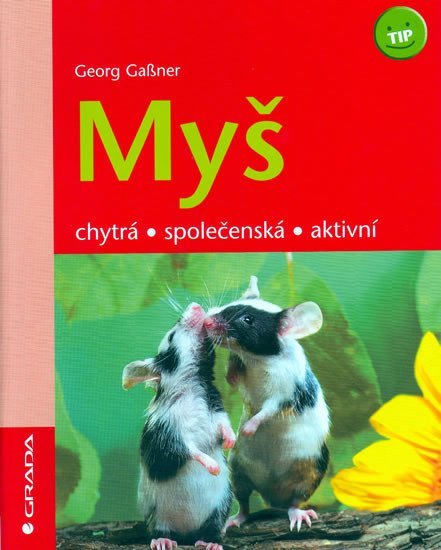 Gassner Georg: Myš - Chytrá,společenská,aktivní