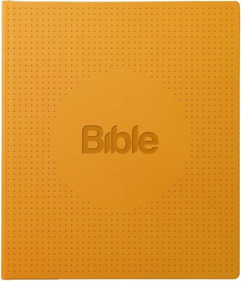 neuveden: Bible21 ilumina neuveden: Bible21 ilumina