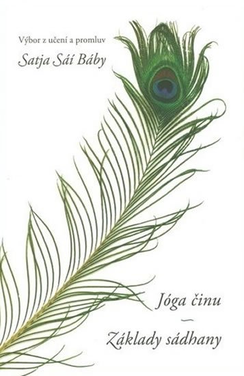 Bába Satja Sáí: Jóga činu: Základy sádhany