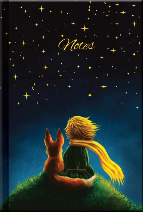 neuveden: Notes LITTLE PRINCE