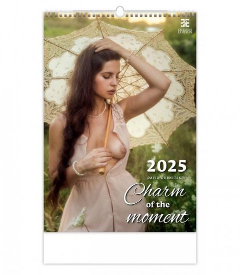 neuveden: Kalendář nástěnný 2025 - Charm of the Moment