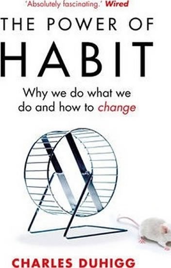Duhigg Charles: The Power of Habit : Why We Do What We Do, and How to Change