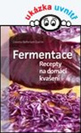 Bellersen Quirini Cosima: Fermentace - Recepty na domácí kvašení