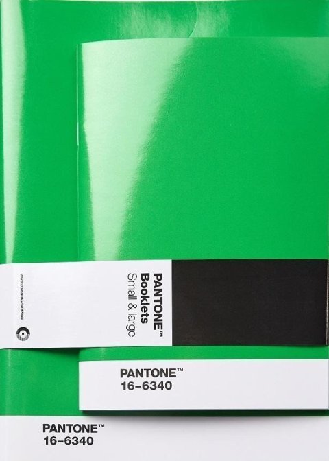 neuveden: Pantone Zápisník tečkovaný, 2 velikosti - Green 16-6340