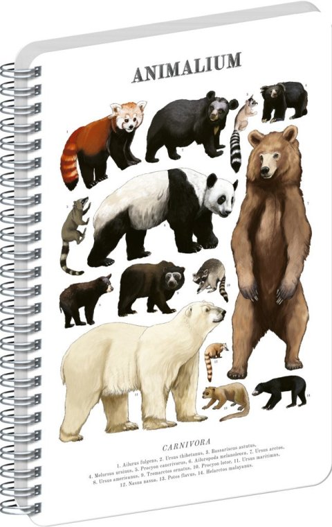 : Spirálový blok Animalium - Medvědovité šelmy, čistý, A4