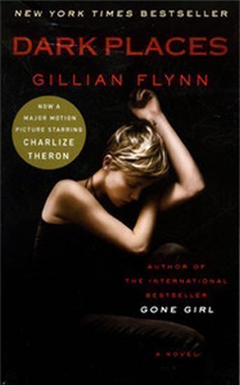 Flynnová Gillian: Dark Places