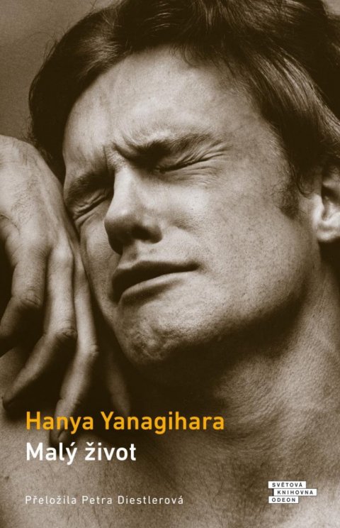 Yanagihara Hanya: Malý život Yanagihara Hanya: Malý život