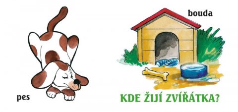 neuveden: Kde žijí zvířátka? neuveden: Kde žijí zvířátka?